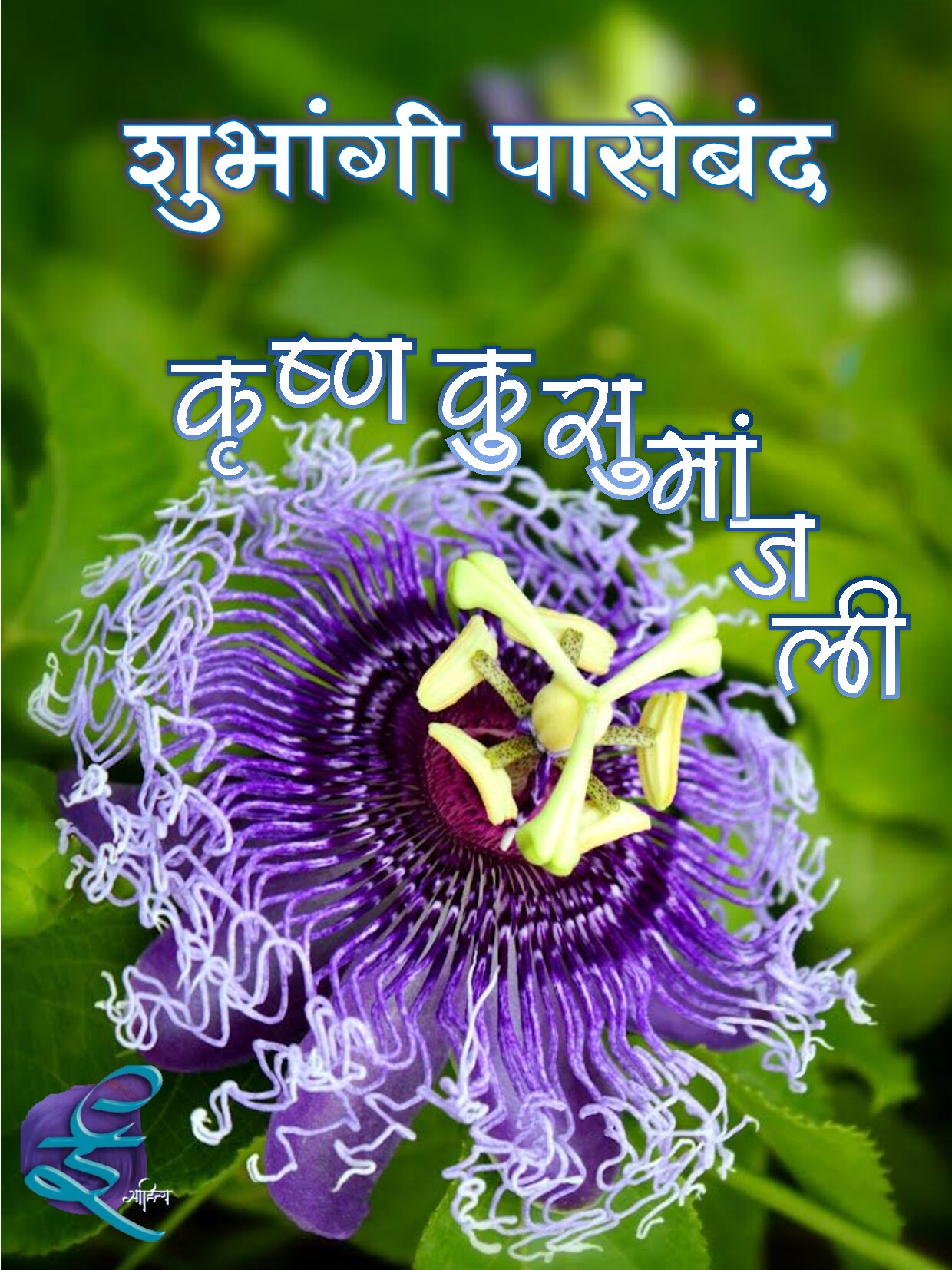 krushnakusumanjali_shubhangi_paseband