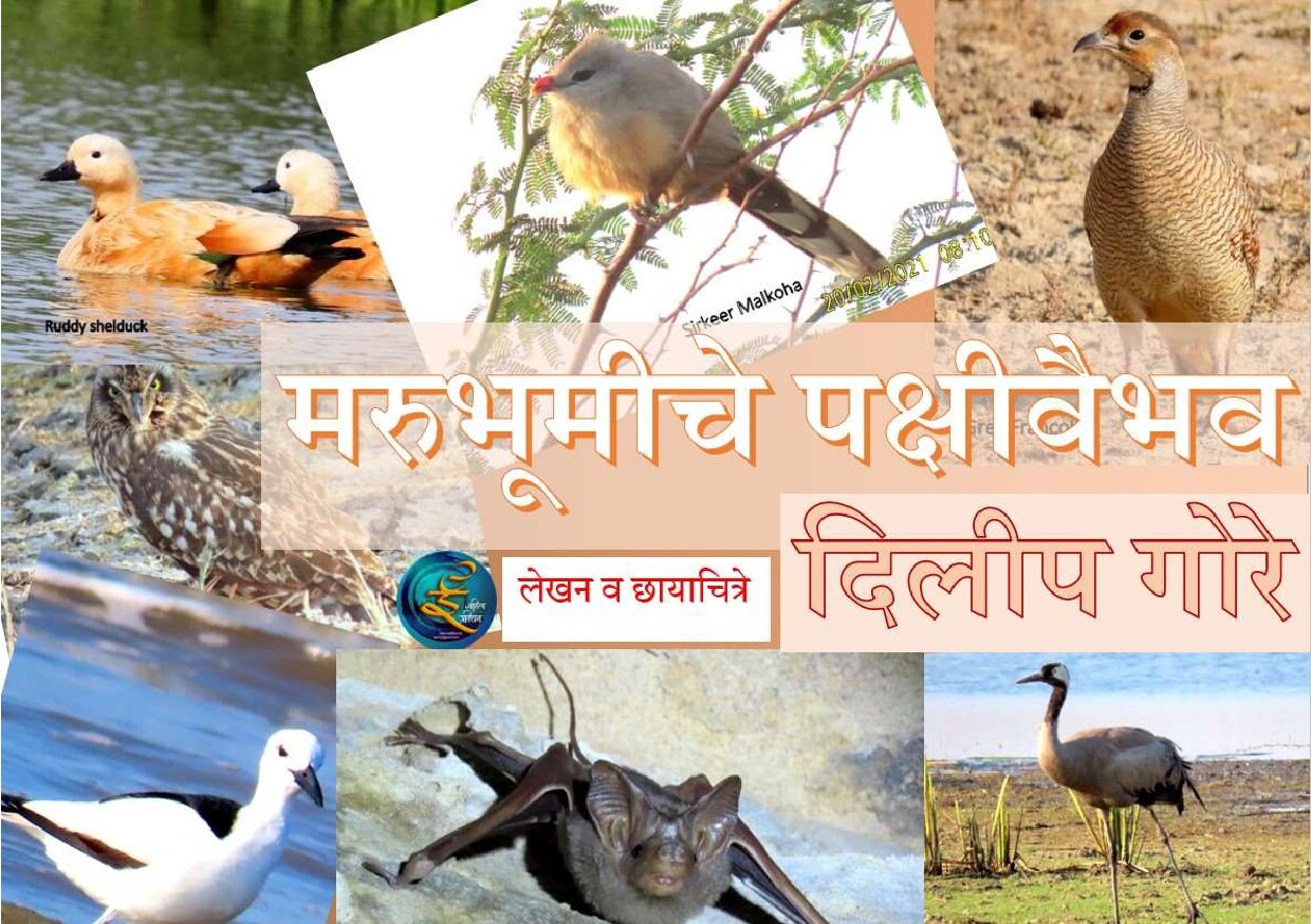 marubhumiche_pkshivaibhv_dilip_gore