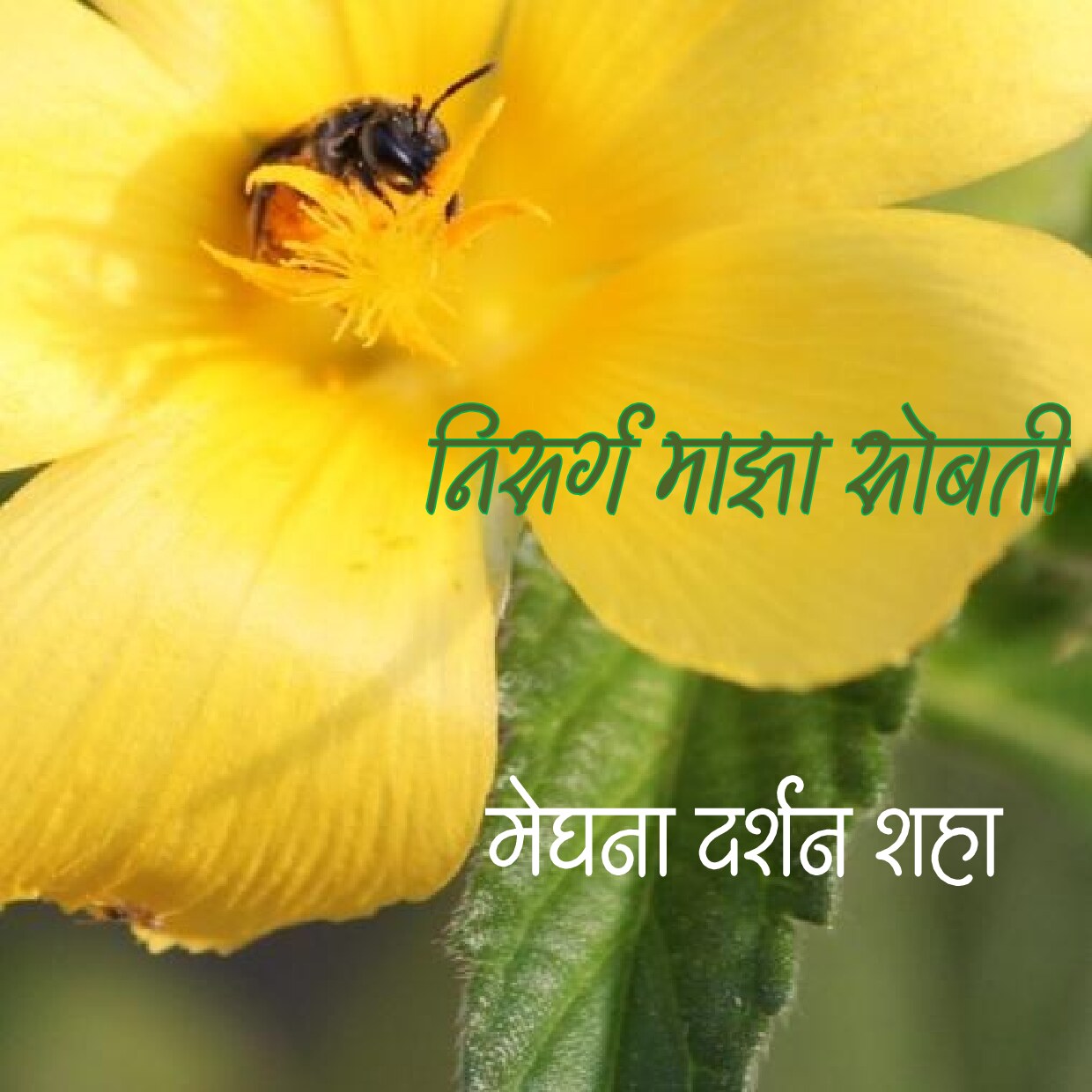 nisarga_maza_sobati_meghana_shah