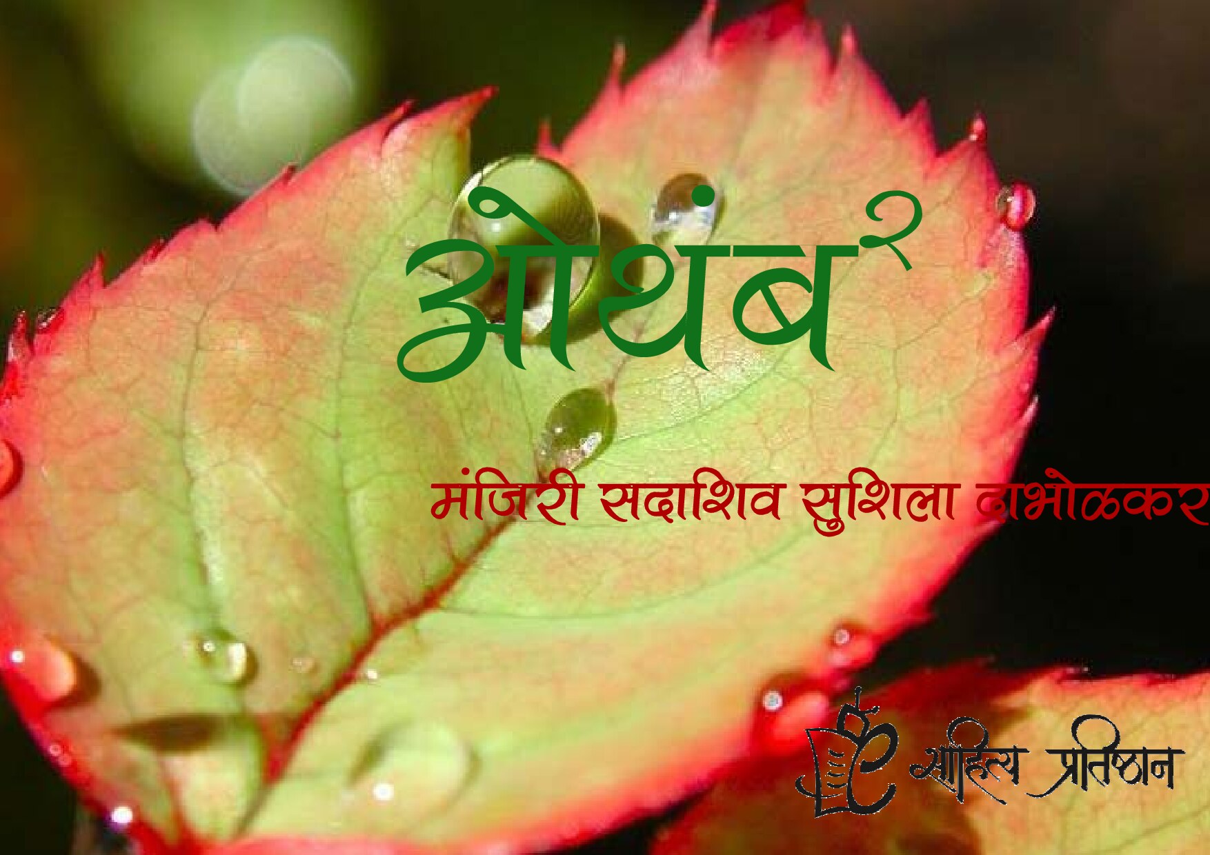 Microsoft Word - othamb2-manjiri dabholkar