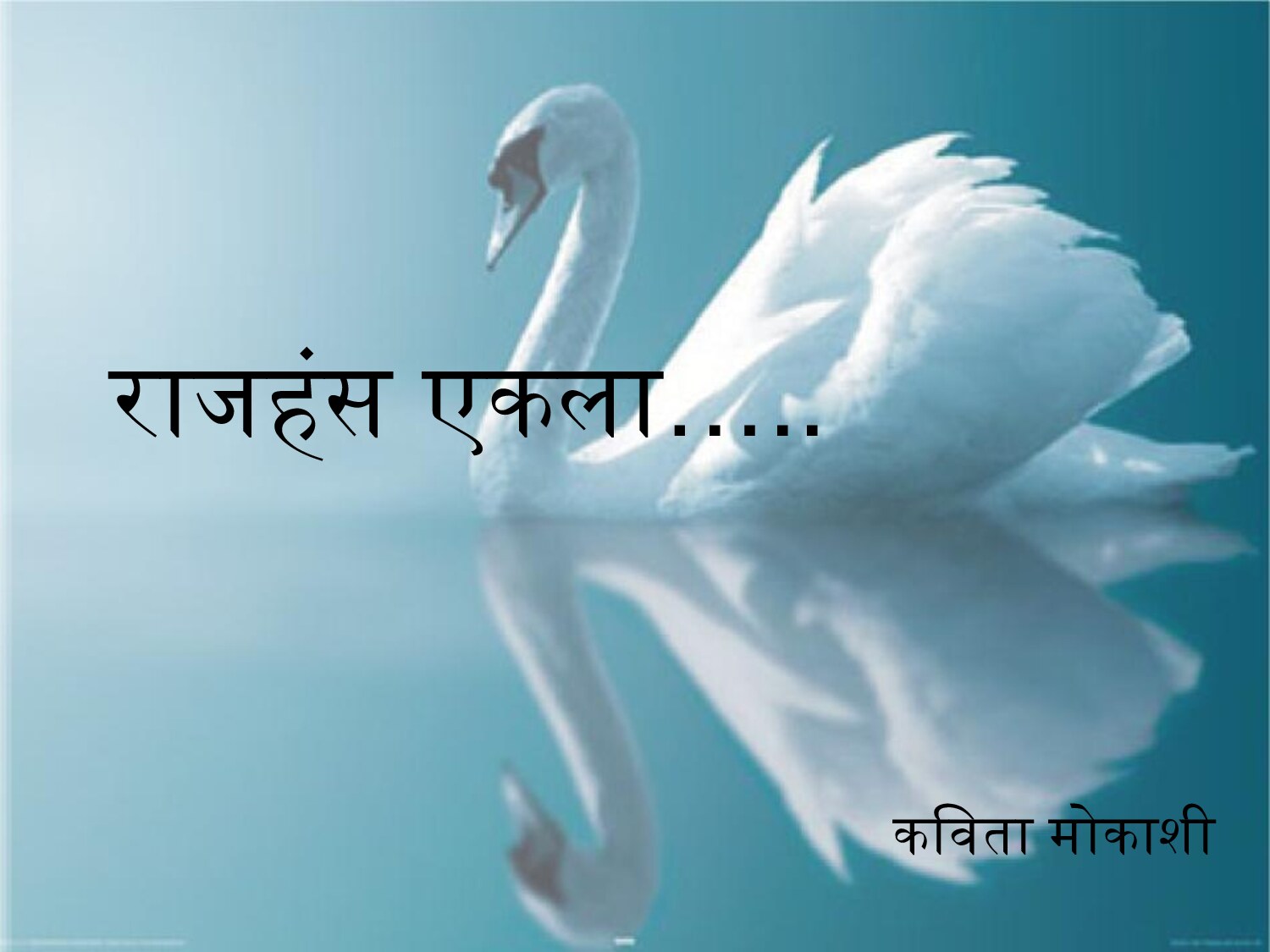 राजहंस एकला…..