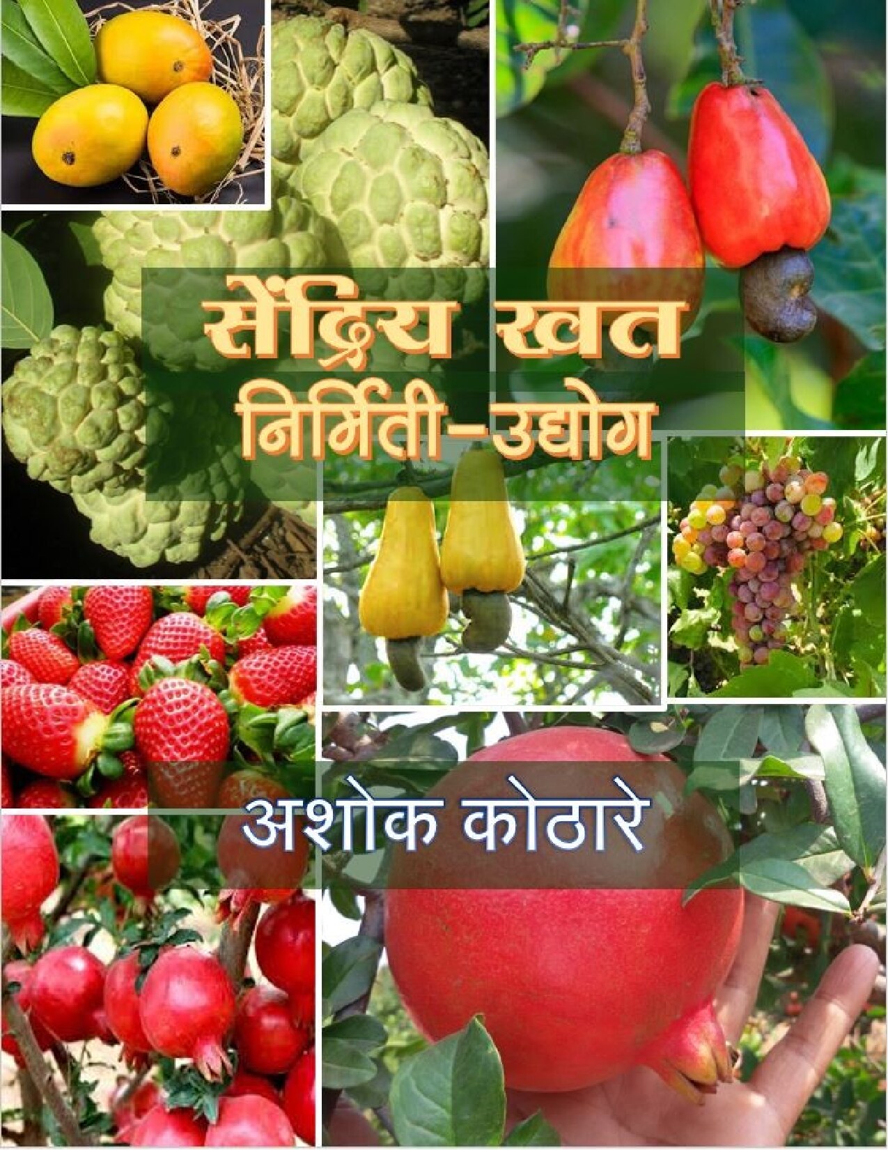sendriya_khat_udyog_ashok_kothare