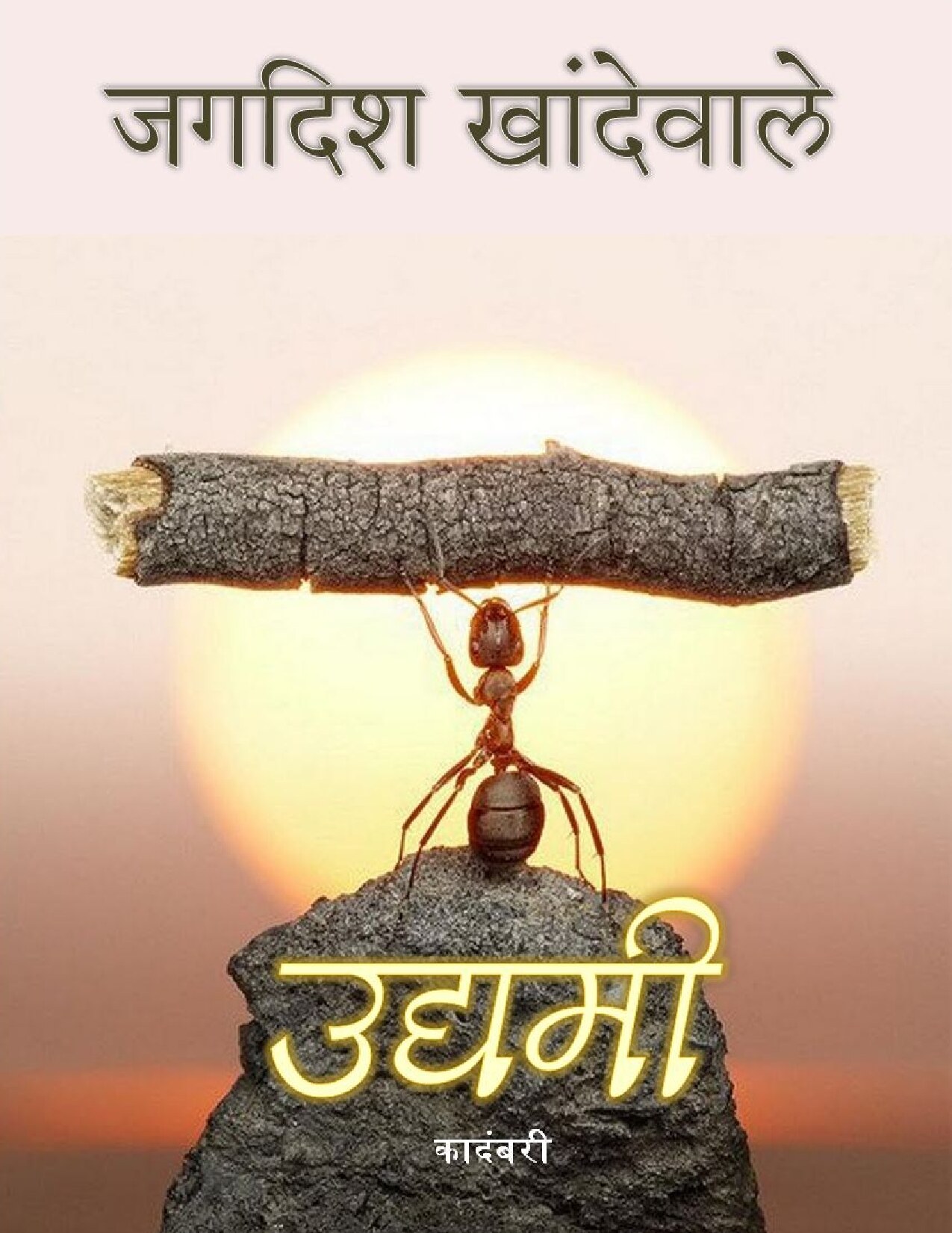udyami_jagadish_khandewale
