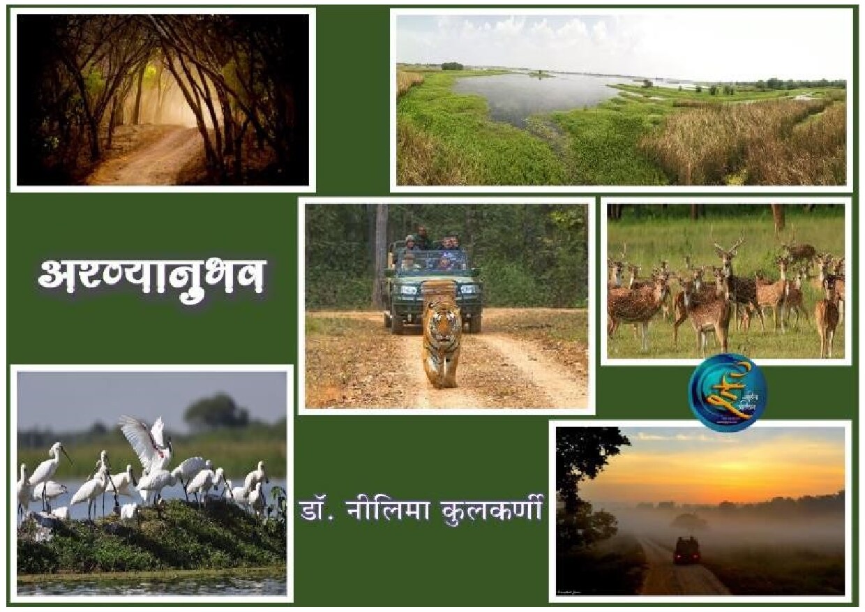 aranyanubhav_neelima_kilkarni