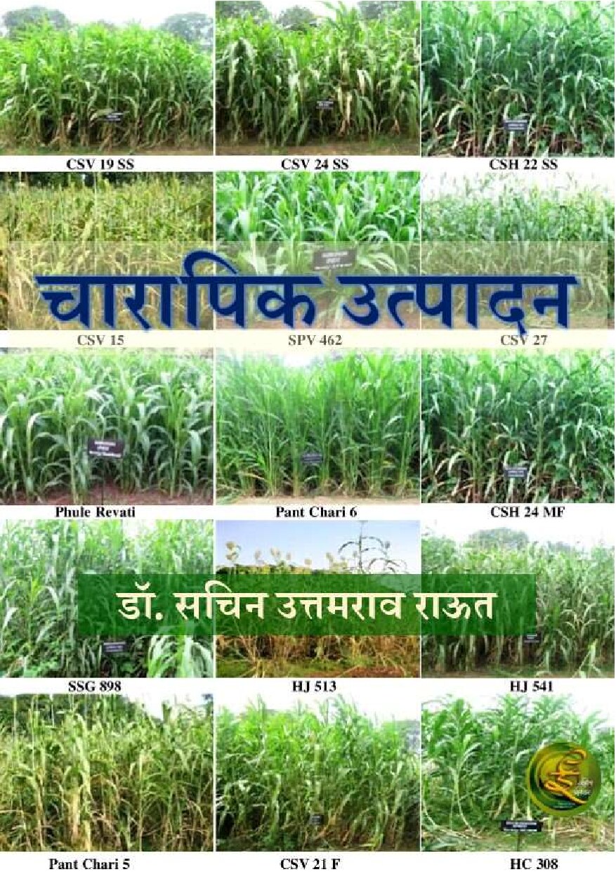 chaaraa_peek_sachin_raut
