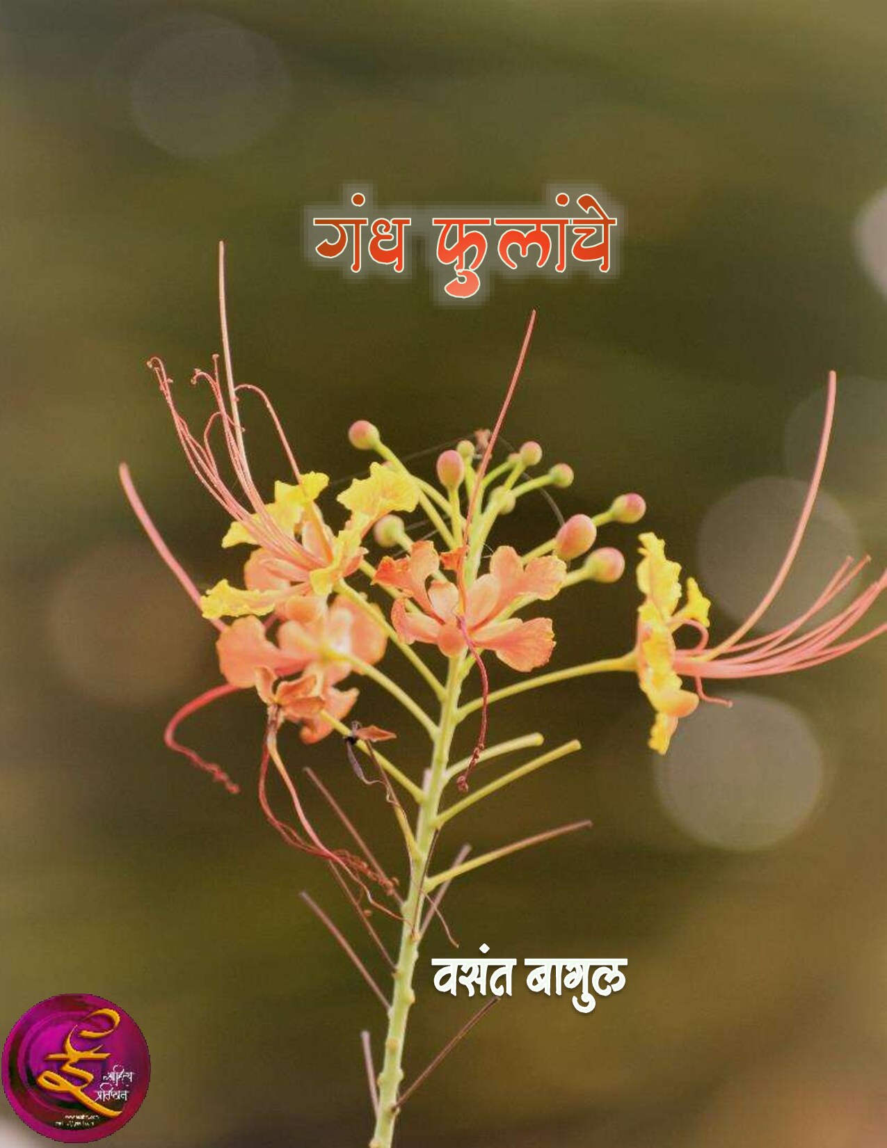 gandh_fulanche_vasant_bagul