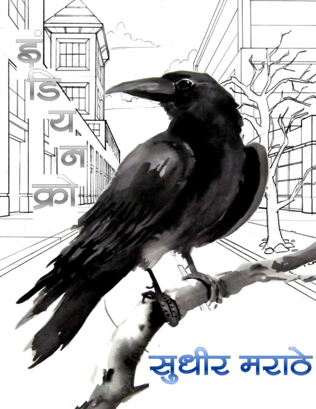 indian_crow_sudhir_marathe