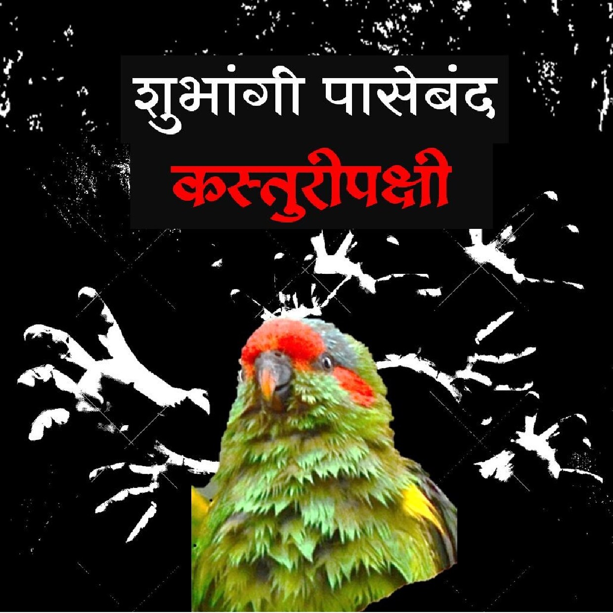 kasturipakshee_shubhangi_paseband